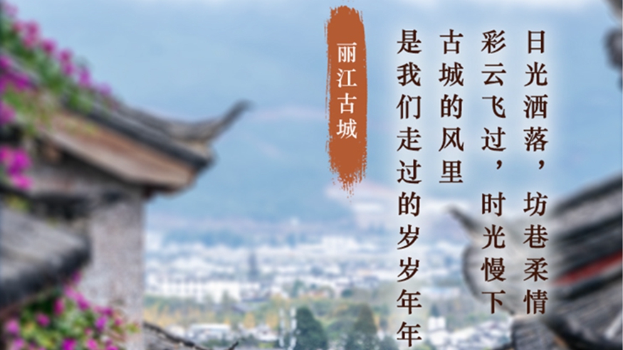 学习进行时丨这些老街旧巷,在时光里绽放芳华