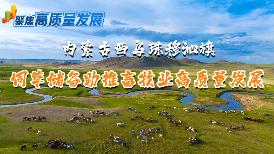 西乌珠穆沁旗：饲草储备助推畜牧业高质量发展