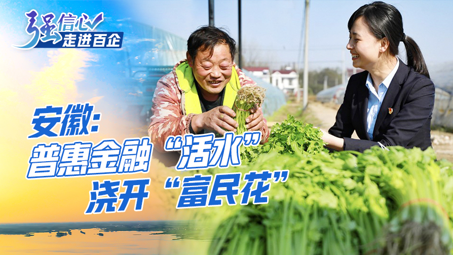 安徽：普惠金融“活水”浇开“富民花”