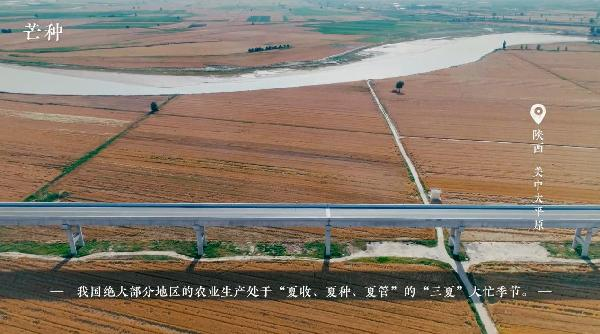 芒种——仲夏已至,麦黄梅熟 芒种——仲夏已至,麦黄梅熟