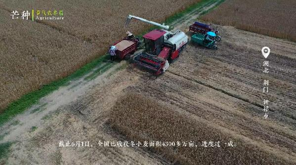芒种——仲夏已至,麦黄梅熟 芒种——仲夏已至,麦黄梅熟