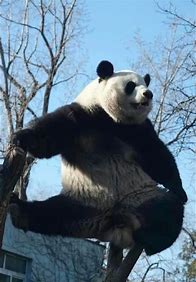 今天,一起认识三位“国宝”科学家 今天,一起认识三位“国宝”科学家