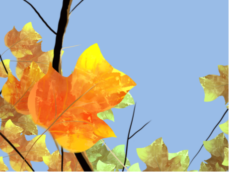 【智惠农民】栖身乔木之上的远古“郁金香”——记孑遗植物鹅掌楸