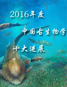 2016年度中国古生物学十大进展新鲜出炉,一起来围观吧!