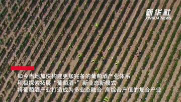 寧夏著力打造多業態融合葡萄酒産業