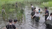 武汉：小微湿地户外课堂助力培养中小学生生态环保理念