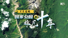 卫星遥瞰,国家公园的非凡十年