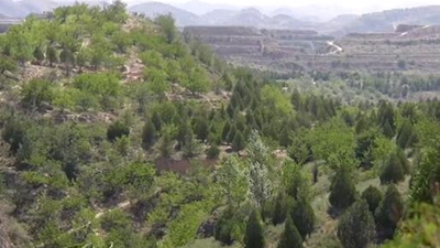 高西沟:黄土地上的绿色变迁