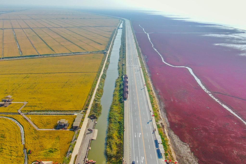 大美湿地城市丨盘锦