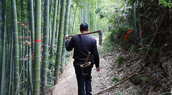 浙江父子两代接力守护新四军无名女战士墓