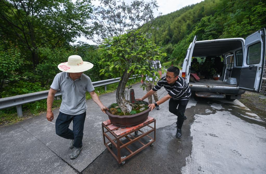 山乡青创客开启特色致富路