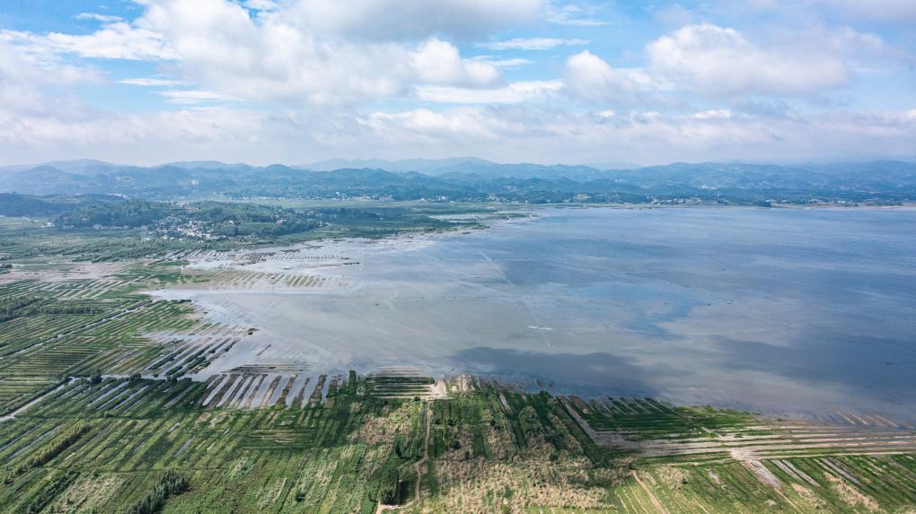 夏日草海景如画