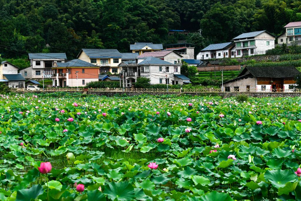 贵州岑巩：人居环境整治 扮靓美丽乡村