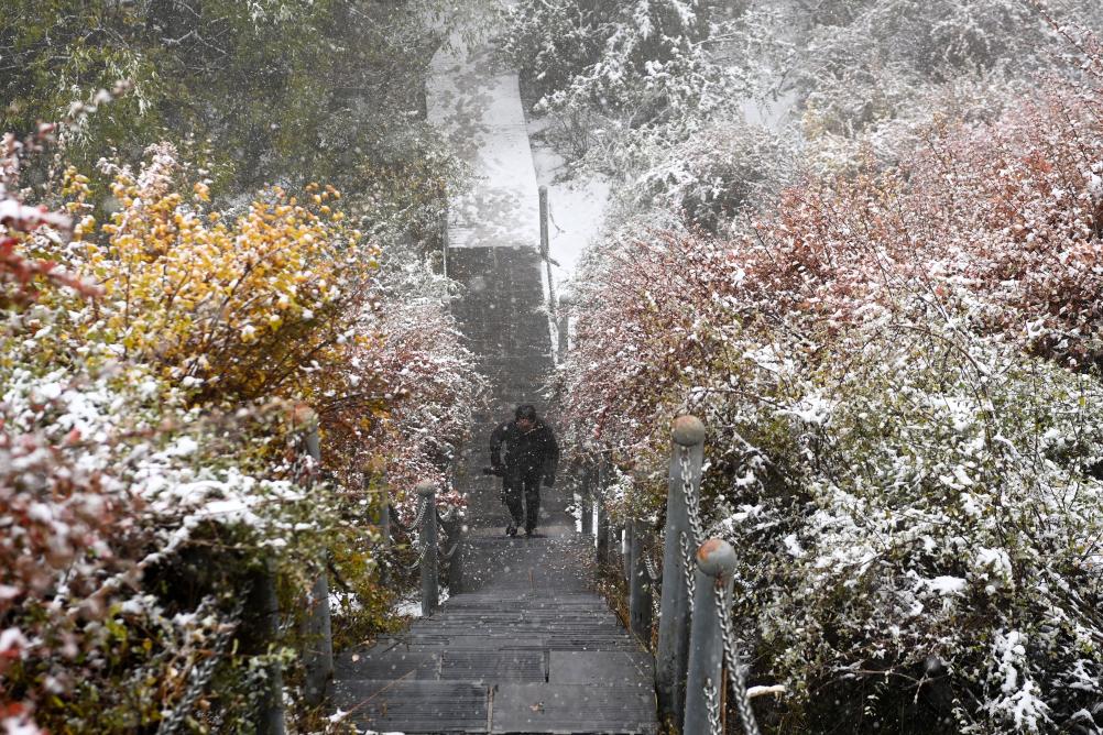 秋雪润祁连