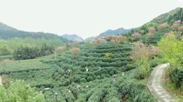 万象“耕”新!码住人间四月天