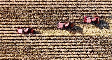 非凡十年|吉林:加快推动全面振兴、全方位振兴