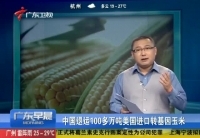 中國退運美國100多萬噸轉基因玉米