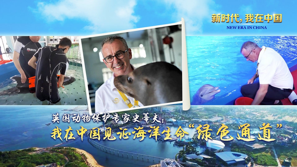 英国动物保护专家史蒂夫：我在中国见证海洋生命“绿色通道”