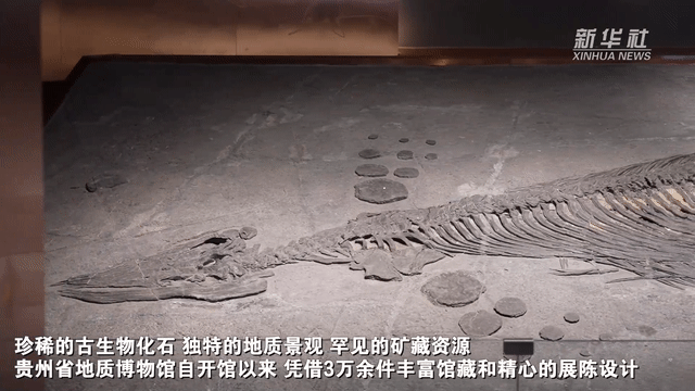 中国故事丨山海之外——博物馆的奇幻之旅