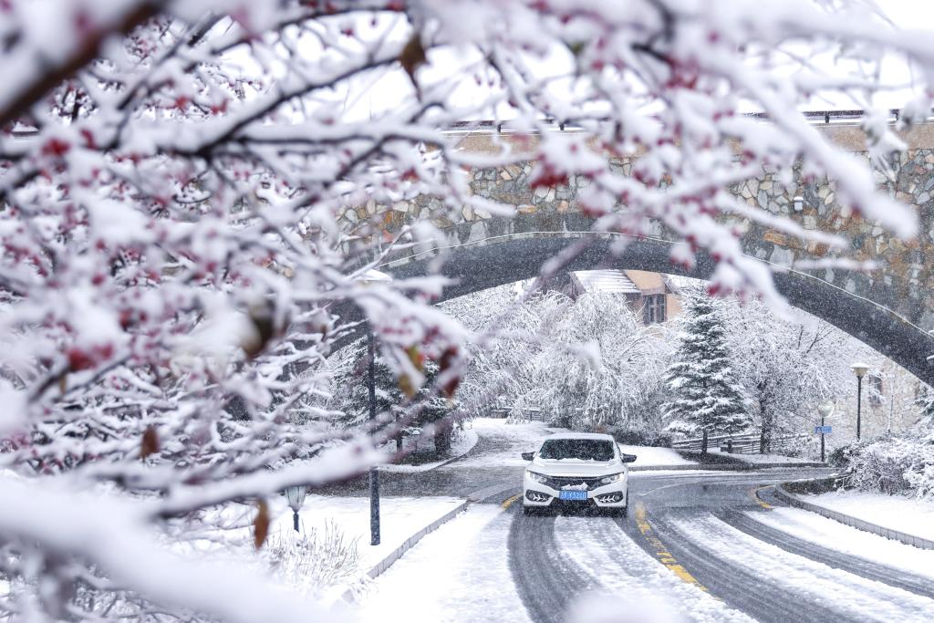 吉林多地迎来降温降雪