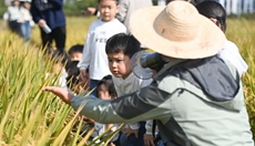 农场里的幼儿自然课