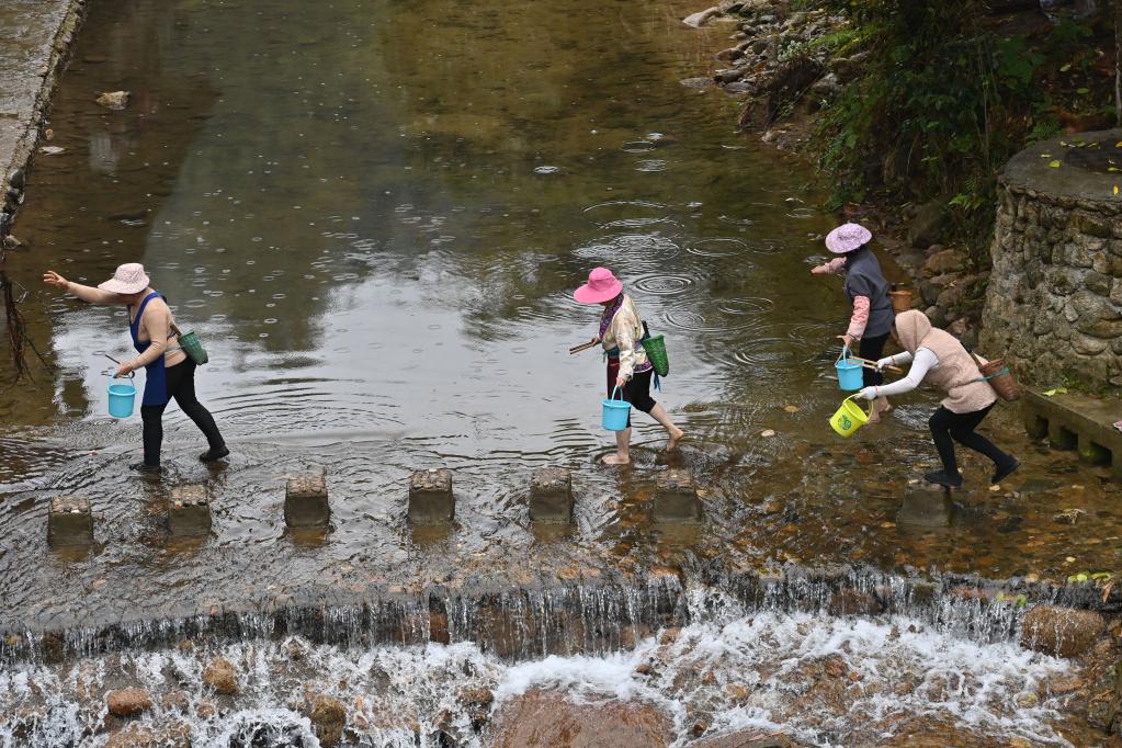 广西融水：河长护碧水