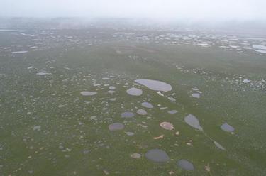 鸟瞰长江源区最大湿地