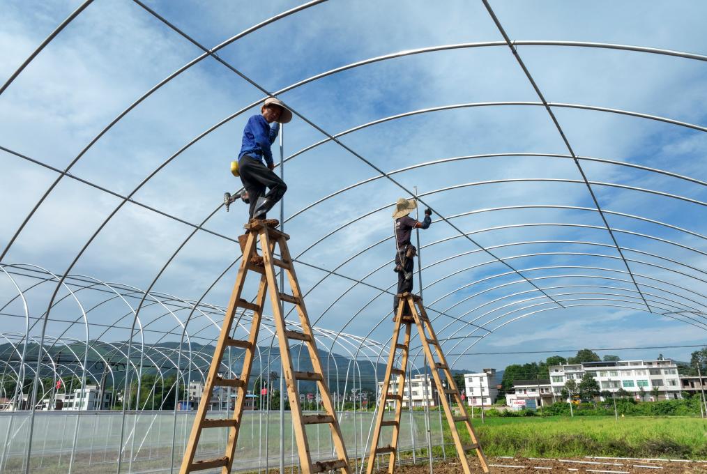 湖南常宁：智慧育苗大棚建设施工忙