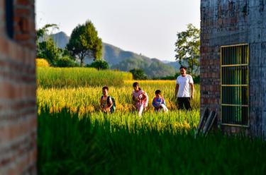 大山“微小学”的“守山人”