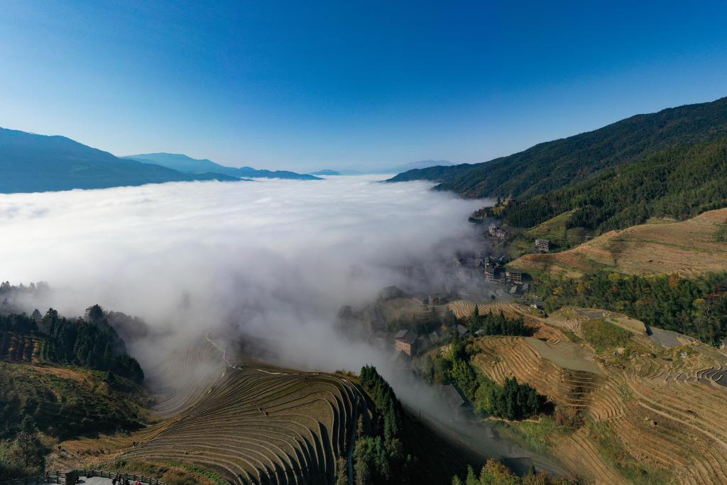 广西龙胜：梯田云海