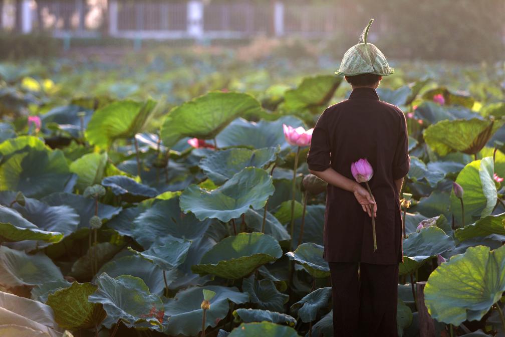 镜观世界丨河内：在“百花春城”感受千年古城的生机